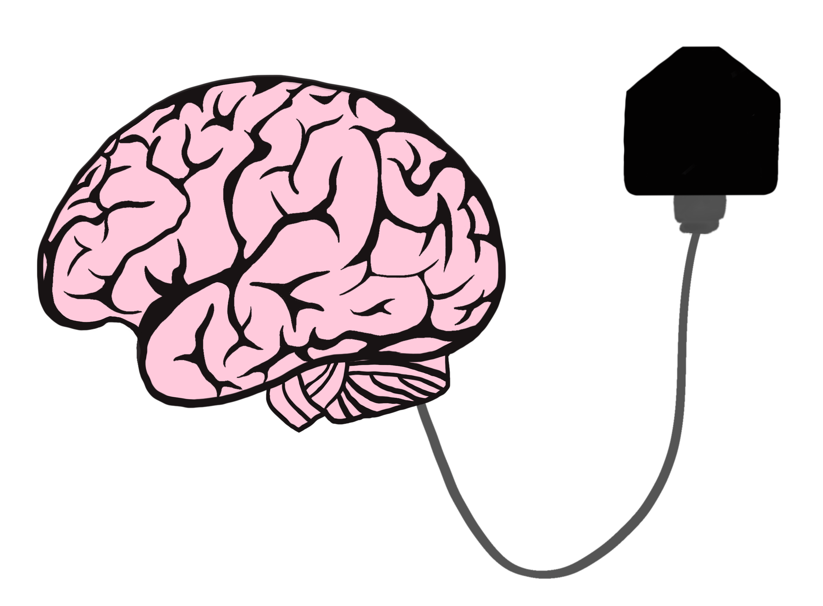 Brain with a plug